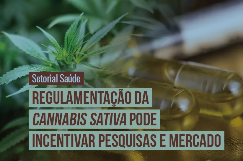 REGULAMENTAÇÃO DA CANNABIS SATIVA PODE INCENTIVAR PESQUISAS E MERCADO