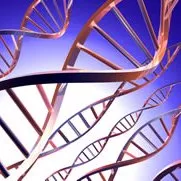 Workshops debaterão ferramentas e marco regulatório para a biotecnologia no país