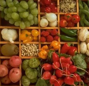 Presidente da CNA apresenta temas do setor ao novo Ministro da Agricultura