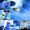 Rota biotecnológica na indústria farmacêutica brasileira
