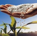 Primeiro relatório sobre comercialização de agrotóxicos no país é lançado pelo Ibama