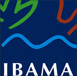 Novos prazos para envio de Relatório Anual de Atividades ao Ibama