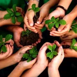 Finep divulga edital do Plano Inova Sustentabilidade