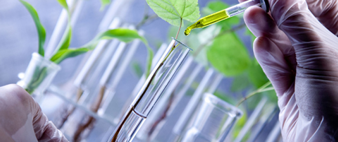 INPI divulga diretrizes de exame de patentes em biotecnologia