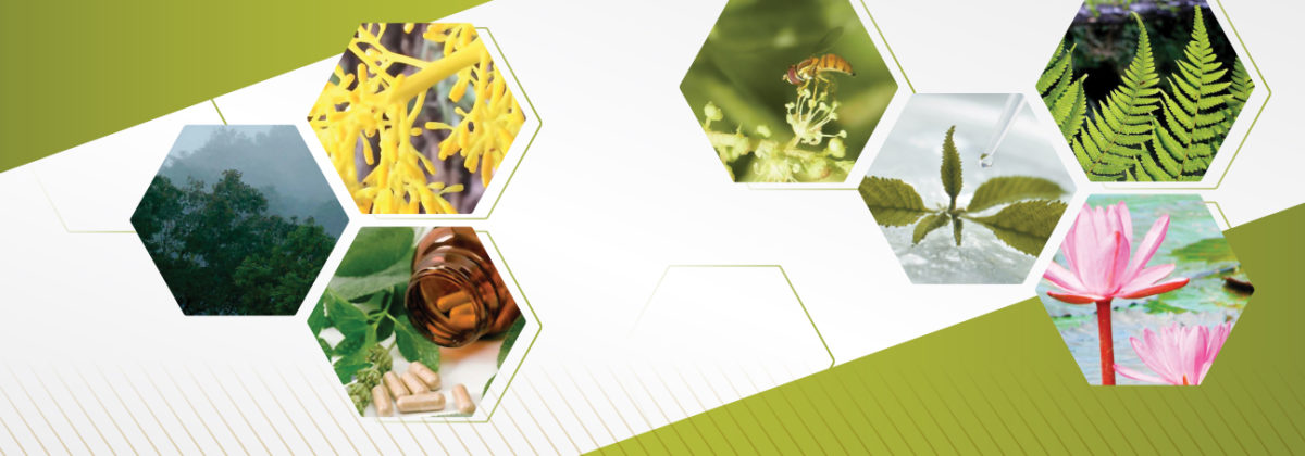 Ciclo de Palestras ABIFINA - Pesquisa e produção de medicamentos a partir da biodiversidade