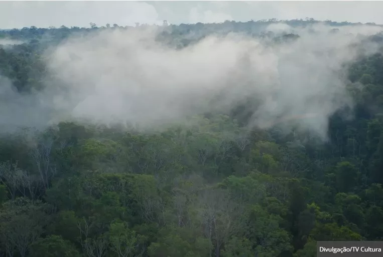 Farmacêutica EMS é patrocinadora do novo e premiado documentário 'Rios Voadores'