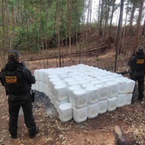 Há dois minutos da virada do ano DOF apreende 480 quilos de drogas e ultrapassa a marca de 141 toneladas em 2022