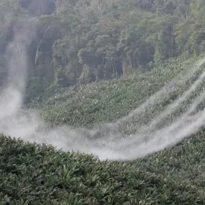 Juíza condena grupo por falsificação, estocagem e venda de agrotóxicos
