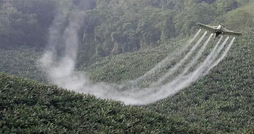 Juíza condena grupo por falsificação, estocagem e venda de agrotóxicos