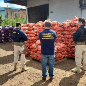Operação do Vigifronteira apreende mais de 480 toneladas de produtos irregulares no Paraná
