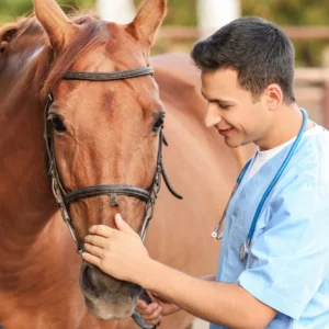 Mapa institui maio como Mês da Saúde Animal