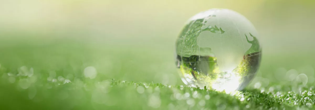 Webinar Práticas ESG na Indústria Química Fina