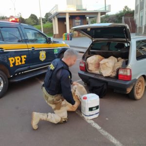 PRF prende contrabandista em Coronel Bicaco/RS com meia tonelada de agrotóxicos ilegais — Polícia Rodoviária Federal