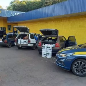 PRF apreende quase uma tonelada de agrotóxicos ilegais na região noroeste do RS