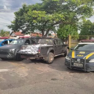 PM apreende 220 litros de agrotóxicos contrabandeados