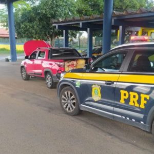 Operação da PRF em Feira de Santana recupera veículos e apreende 600 quilos de agrotóxicos irregulares