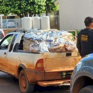 Polícia suspeita de “reboque” e apreende R$ 1,6 milhão em agrotóxicos ilegais
