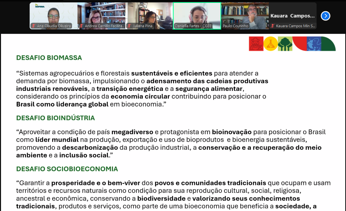 reunião MDIC Integração dos GTs 12.05.2025 2