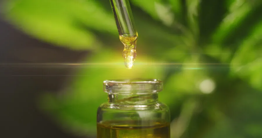 ABIFINA defende verticalização da cadeia da Cannabis medicinal para reduzir custos e fortalecer a indústria nacional