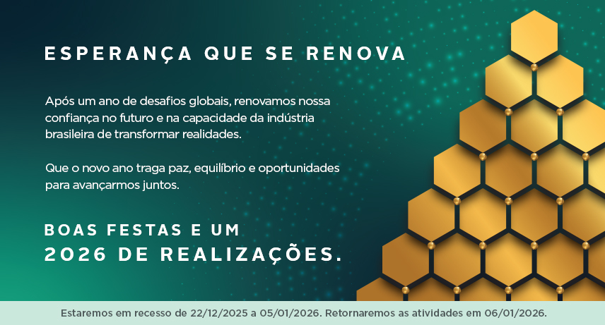 Boas festas e um 2026 de realizações