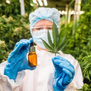 Anvisa publica novo marco regulatório para cannabis medicinal no Brasil