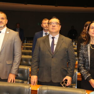 ABIFINA prestigia celebração dos 15 anos do Grupo FarmaBrasil em Brasília 