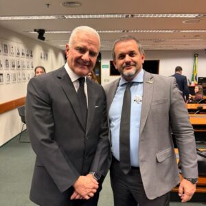 ABIFINA participa de audiência na Câmara dos Deputados sobre os impactos do mercado ilegal na economia brasileira 