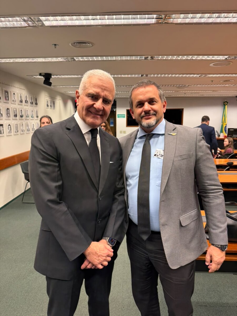 ABIFINA participa de audiência na Câmara dos Deputados sobre os impactos do mercado ilegal na economia brasileira 