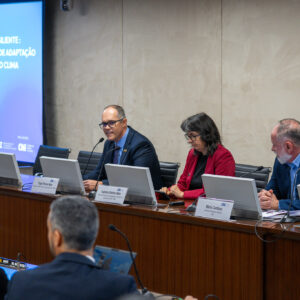 ABIFINA participa de evento da CNI sobre adaptação da indústria às mudanças climáticas 